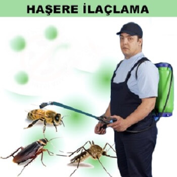 İkizce Böcek İlaçlama
